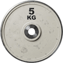 Disco de 5 kg